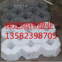 井字植草磚塑料模盒 旭偉塑業生產廠家